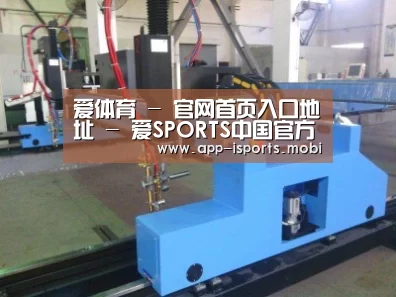 产品名称十六