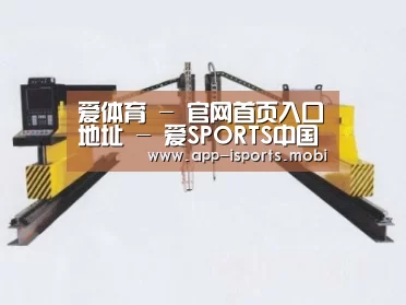 产品名称十九