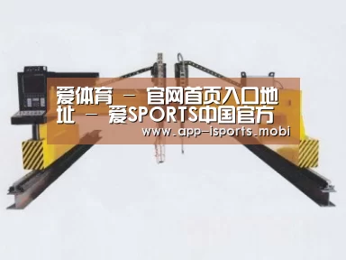 产品名称十九